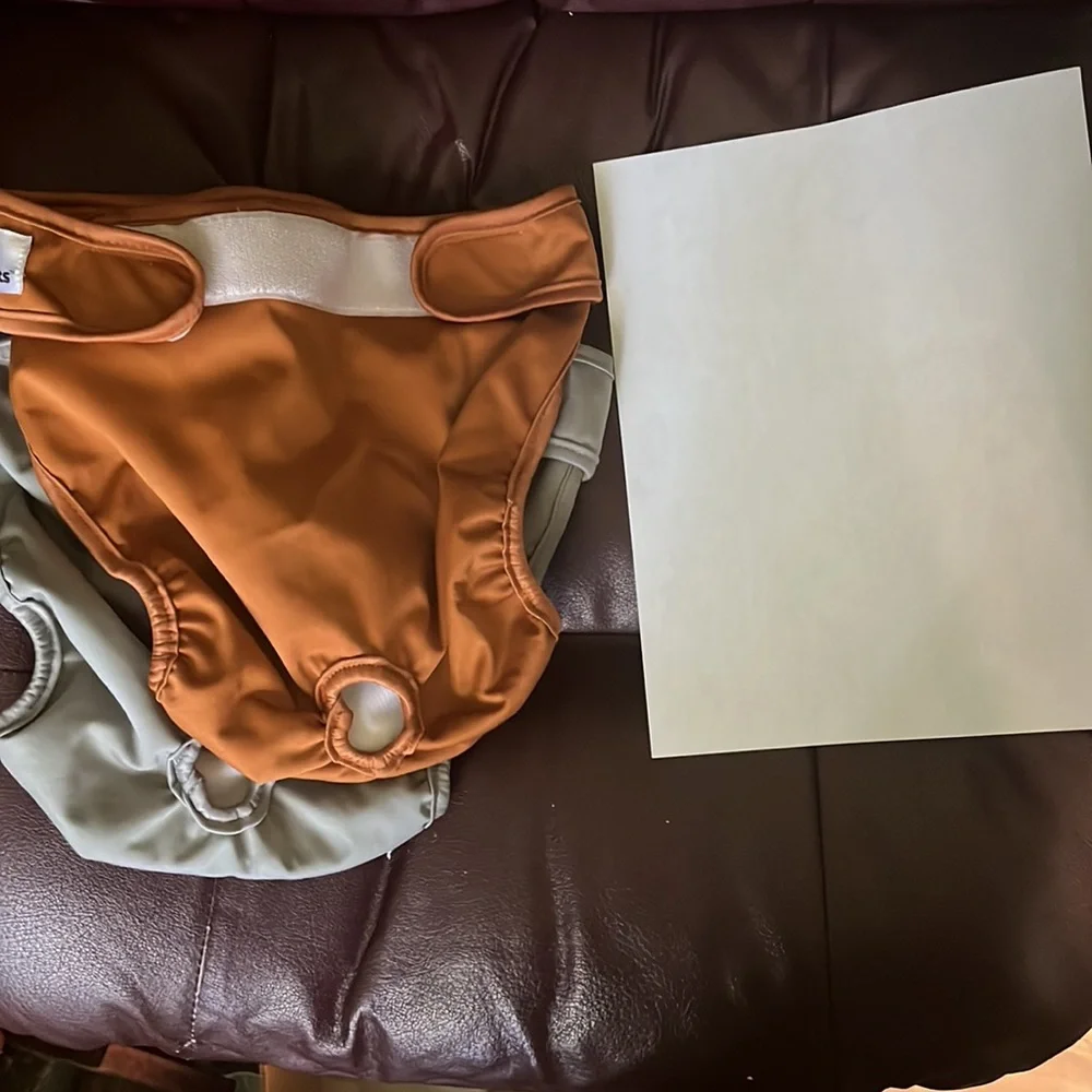Six pack lot of parents dog diapers, size L?